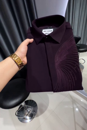 Premium Slim Fit Embellished Casual Shirt