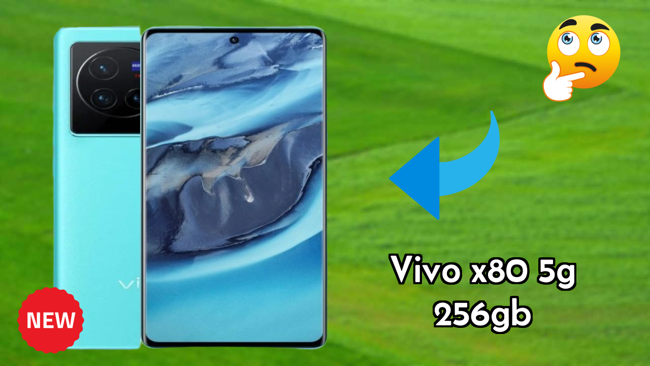 Vivo X80 5G 256GB Display Analysis: AMOLED Explained